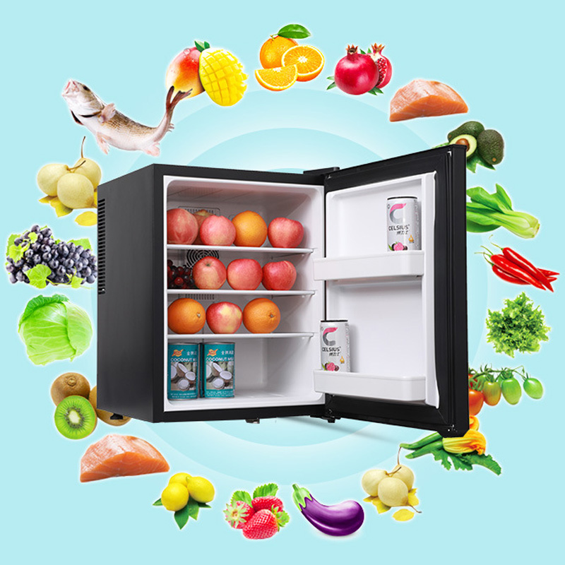 Mini Fridge Cooler 40L Refrige - Wine Beer Mini Fridge review and price