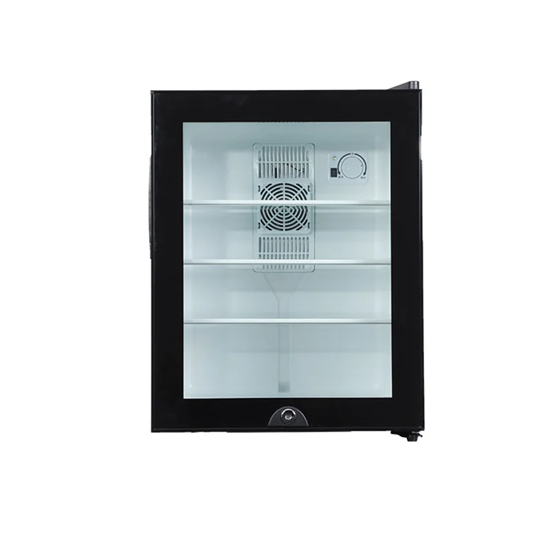 Mini Fridge Cooler 40L Refrige - Wine Beer Mini Fridge review and price